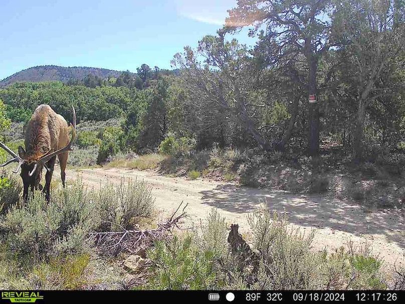 860516060102641-100-2-09182024121726-V-W1000032