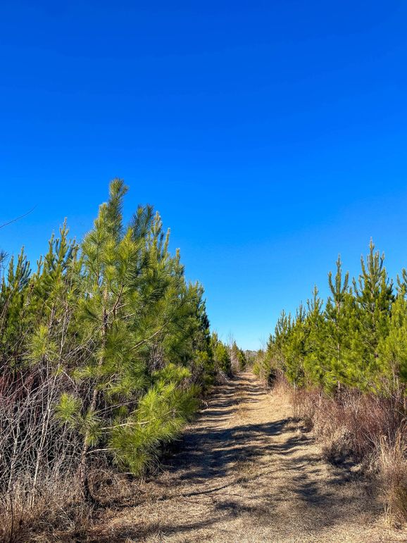 Pender NC 382 - Edits-50