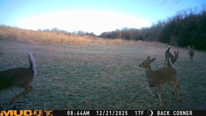 25122108443301005998_ColorizationType.none