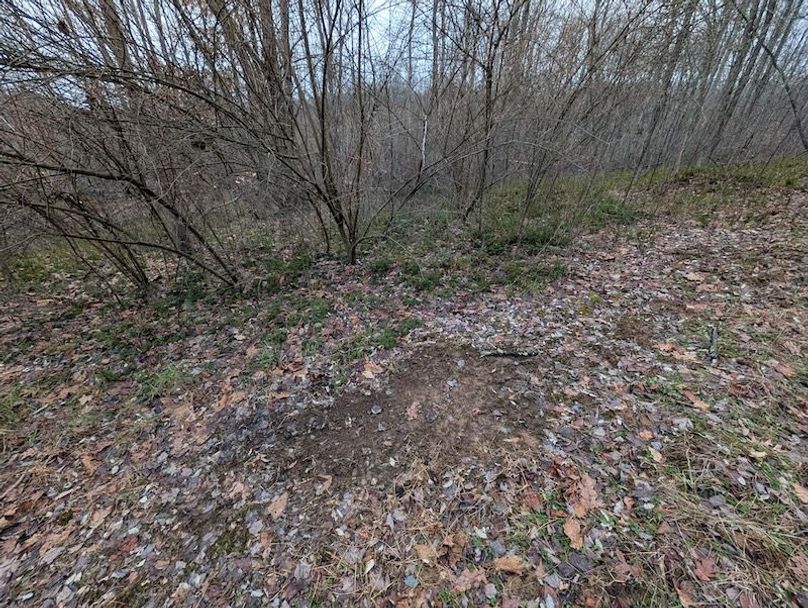 PXL_20260107_205043465.MP