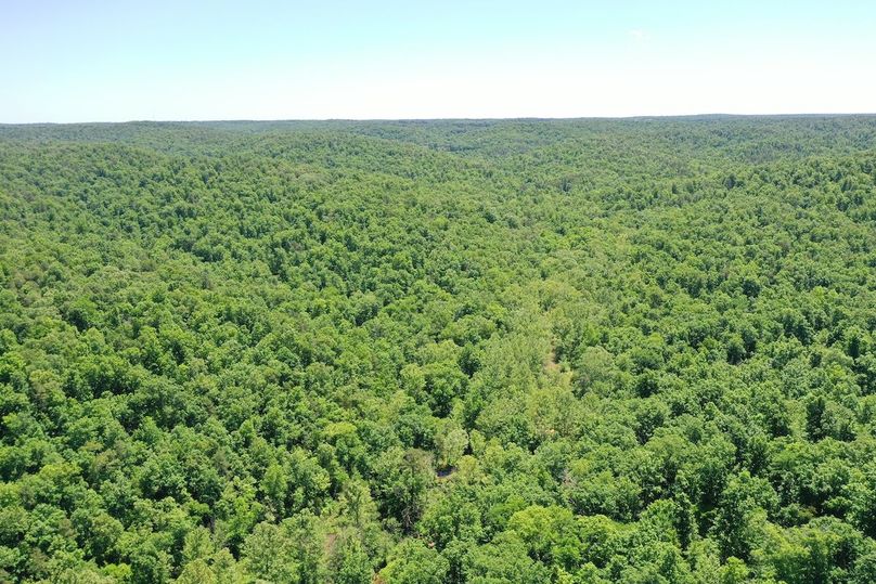 DJI_0902
