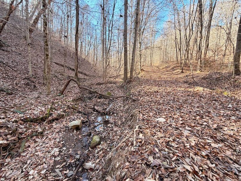 Roane Co TN 396 20251127_16