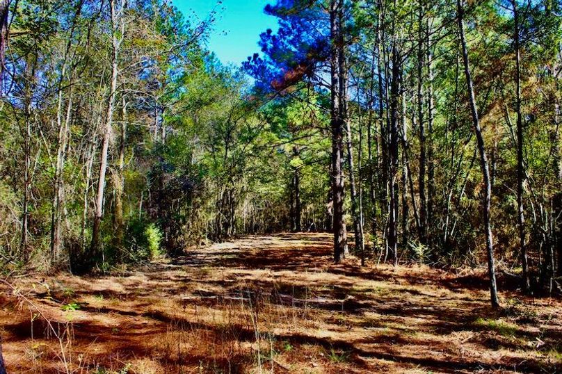 405ACEC8-7931-4C40-BA6C-B883B9D18924_1_105_c