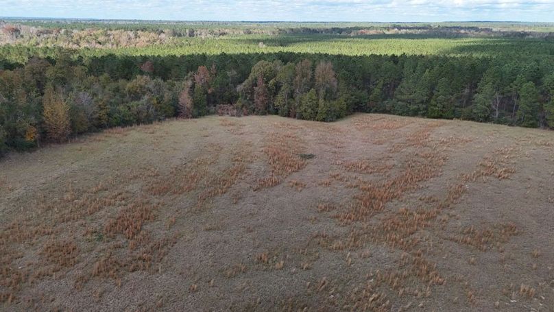 DJI_20251115021450_0874_D - Copy