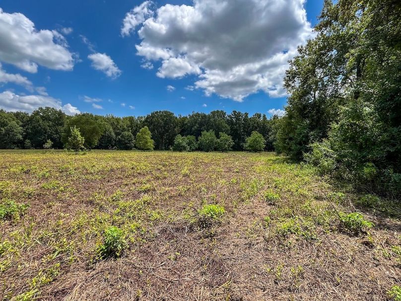 26 Leon Co. 117ac-33