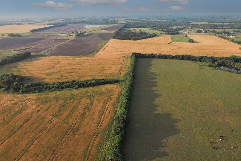 Lamar County- 92.66 Acres (6 of 29)