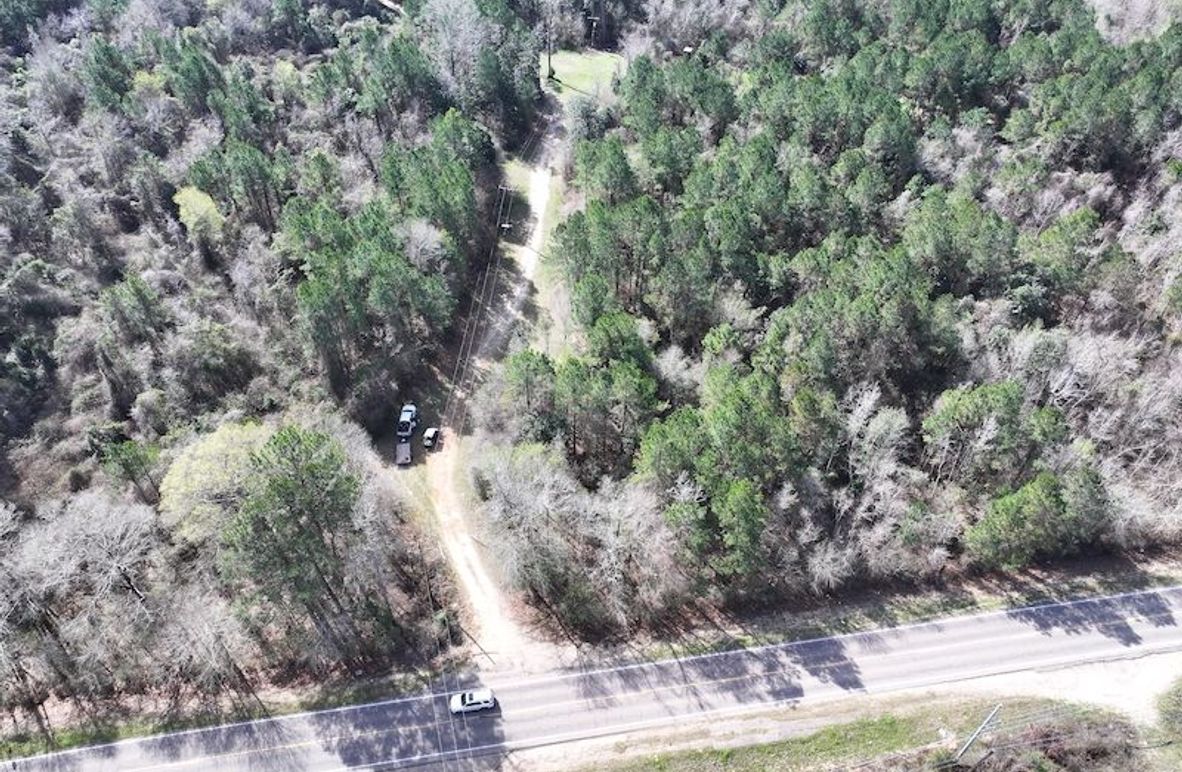 dji_fly_20260224_090310_0277_1772209092871_photo