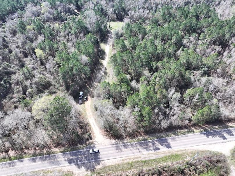 dji_fly_20260224_090310_0277_1772209092871_photo