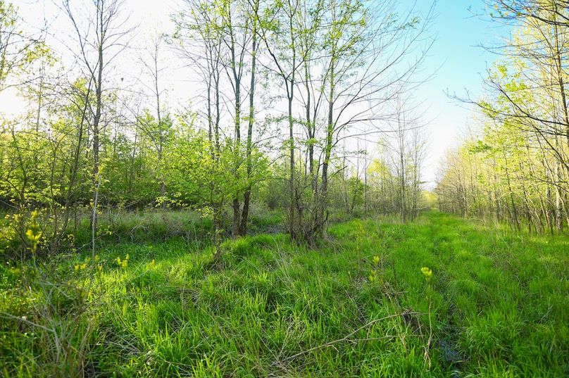 vandalia 450 (2)-2987