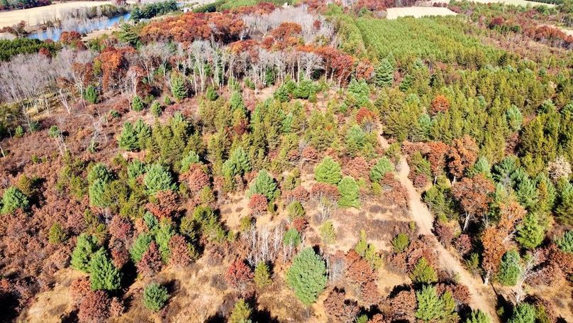 dji_fly_20241024_130332_491_1730406265334_photo_optimized