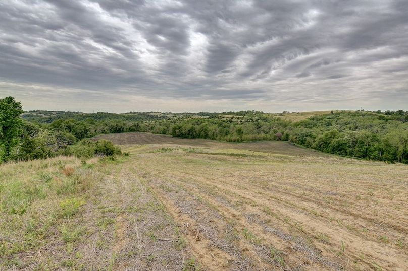 Lot 4 01