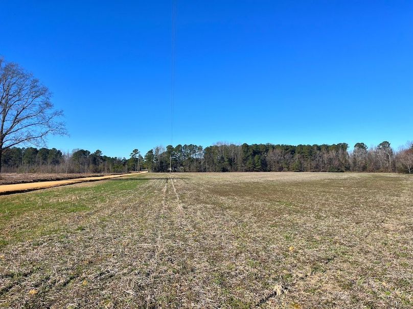 FED5A19B-44CA-4439-B3AD-757CBB1D49C8