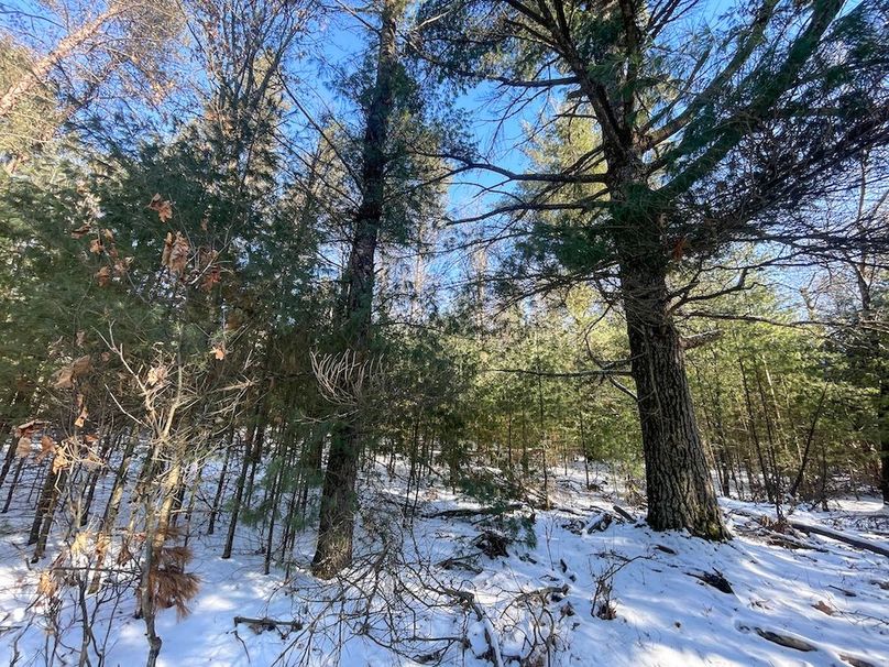 Adams 25, Nessler -33