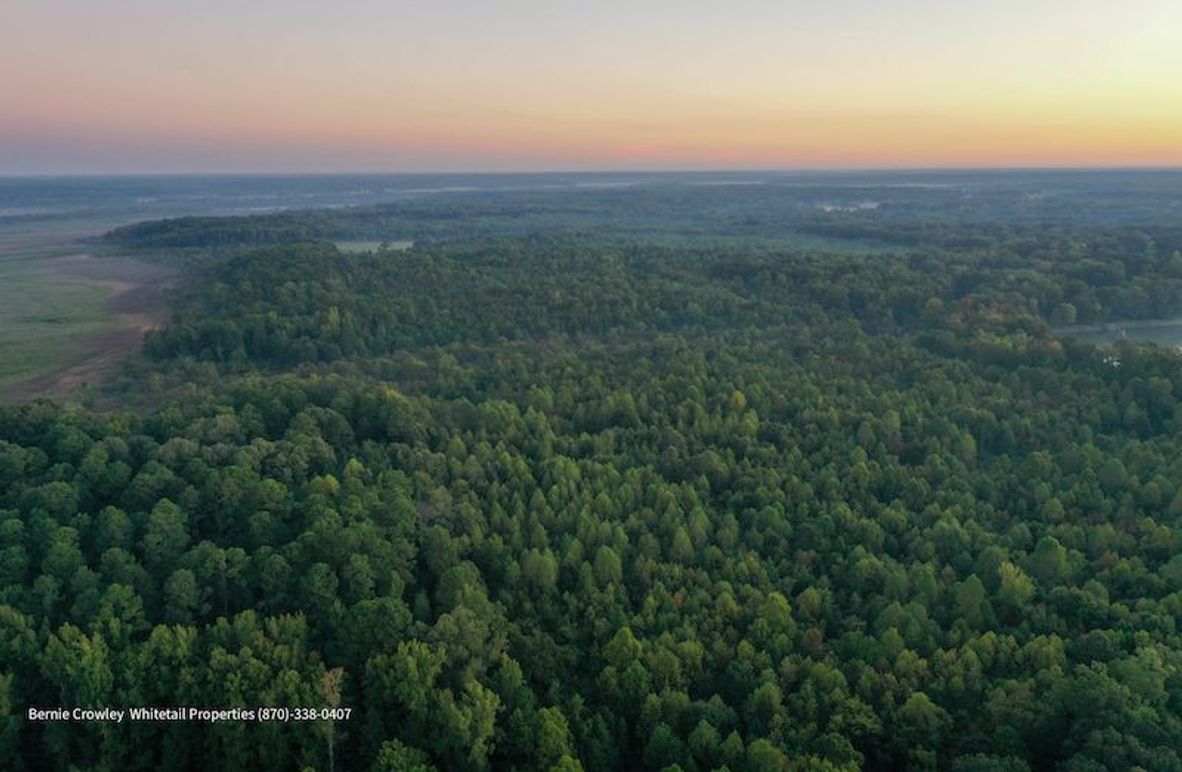 DeSoto 329 Prewett (Thompson) -02