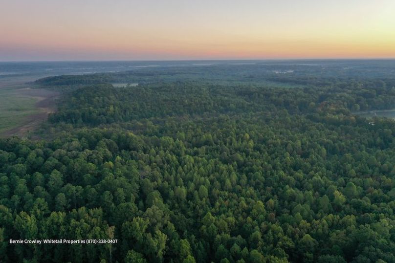 DeSoto 329 Prewett (Thompson) -02