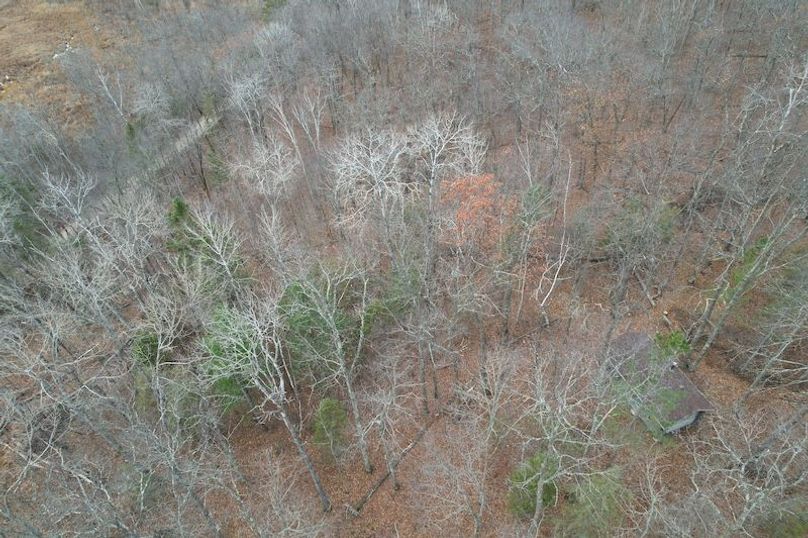 dji_fly_20251104_161202_15_1762294513030_photo