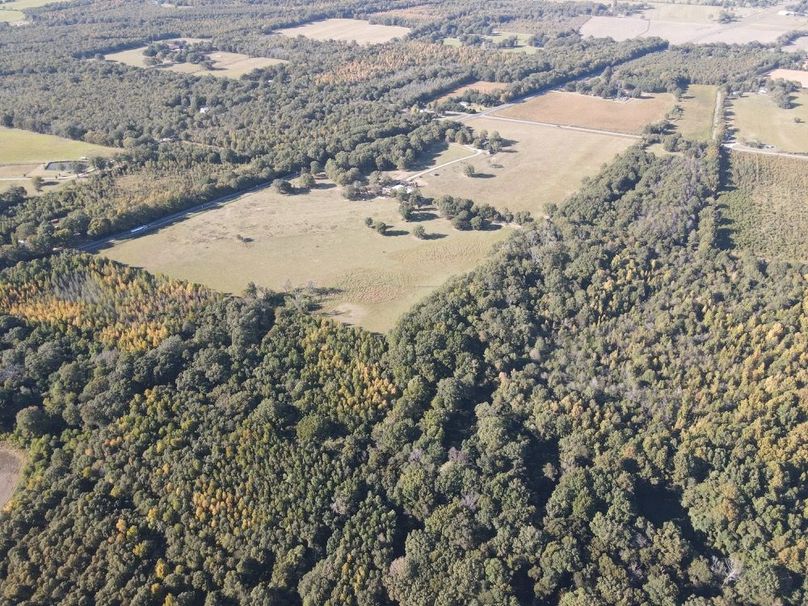 dji_fly_20241017_161310_348_1729199612457_photo