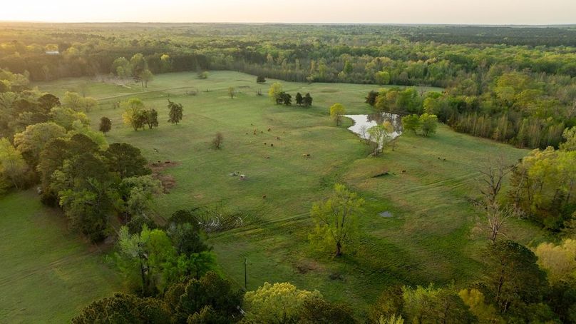 66 Marion TX 143 and 117 Featured_ProPhoto-107