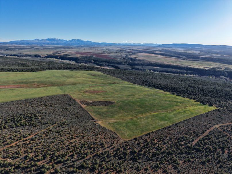 DJI_20260423080421_0226_D