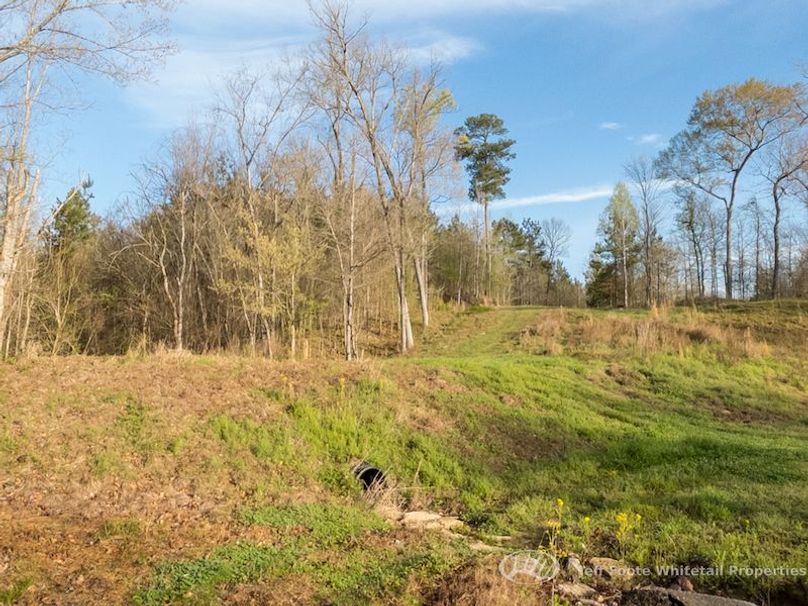 Warren Co - 45.5 - Bockman-64