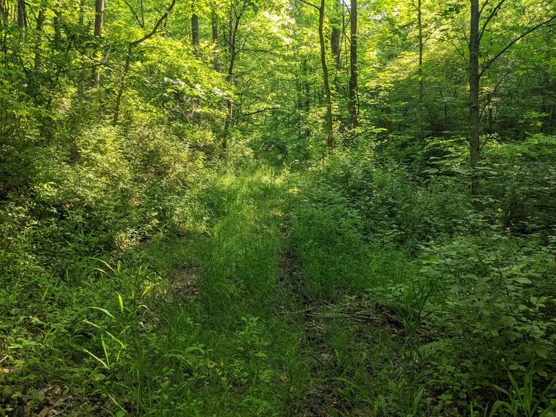 PXL_20230602_131108641