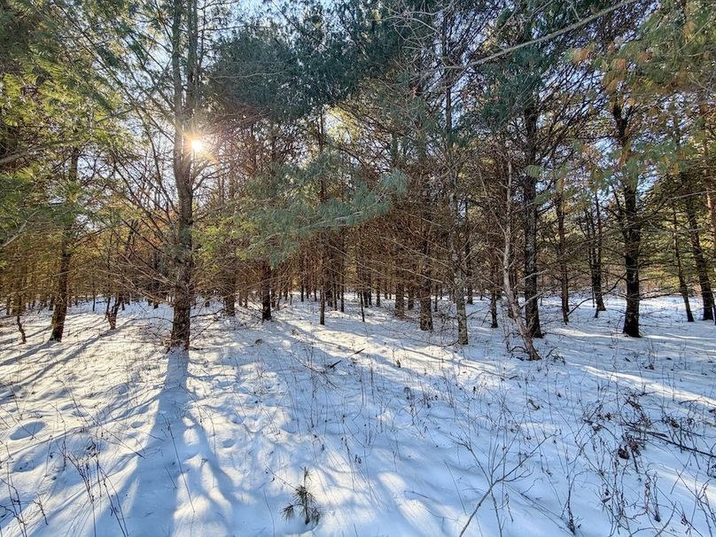 Monroe 68.2 - 95 of 120