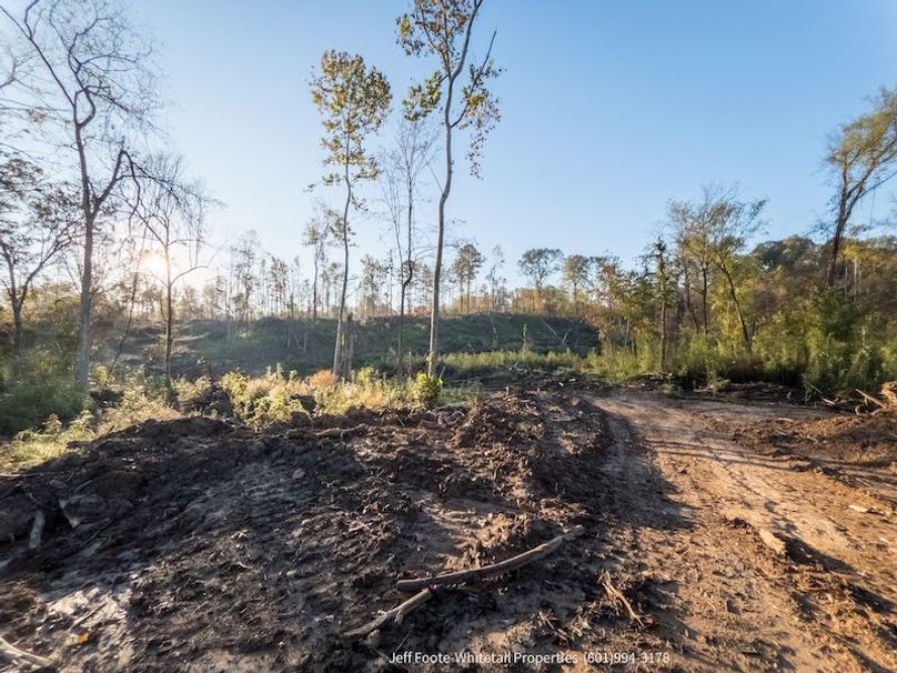 Claiborne Co-151-Geronimo-20