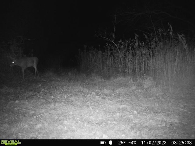 860322065128164-1-3-11022023032538-V-W1004837