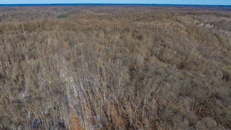 098-z 17250 Campbell150