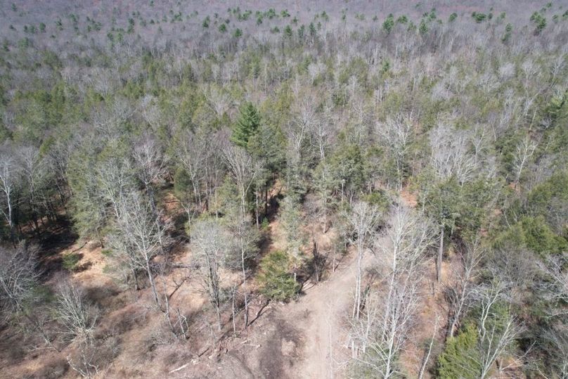 dji_fly_20260330_124720_554_1775656617524_photo