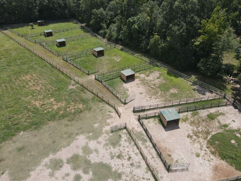 dji_fly_20250808_120436_656_1754672684314_photo