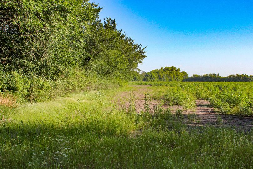 Ottawa, KS, 8.95_025