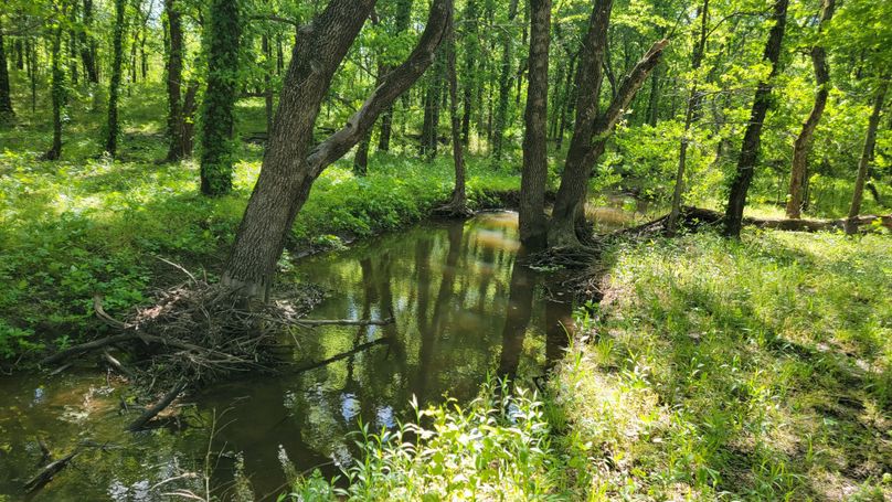 Okmulgee 7 Silman 320