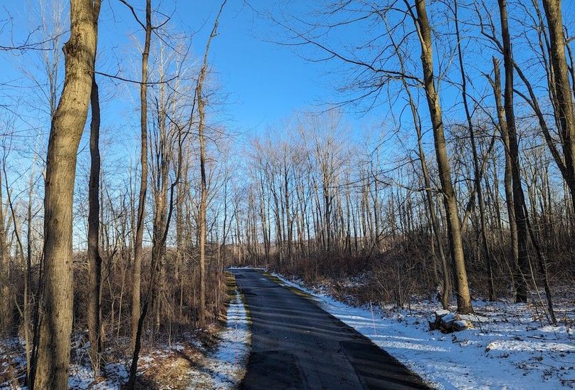 PXL_20240229_214216437