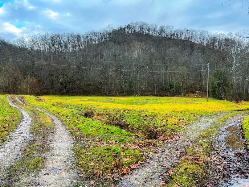 Calhoun, WV 225.69 AC Duffield-24