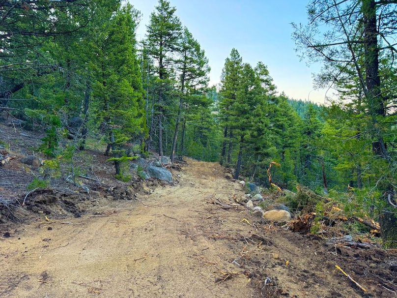 Copy of 20240711-IMG_0815