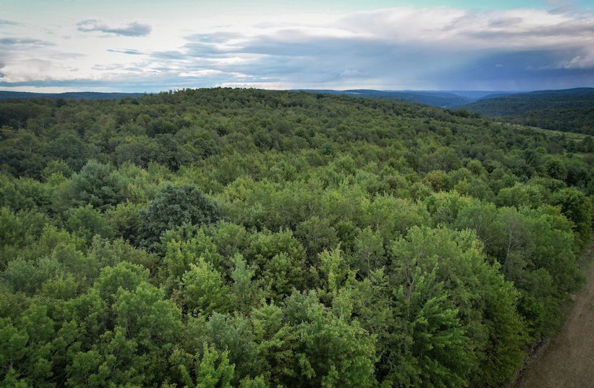 Chemung_140.13_Baumunk_Photos_2