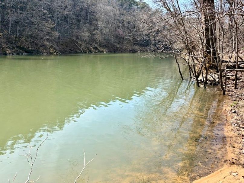 324E6621-6835-4E6B-93F6-BE8CE8AC6DEB_1_105_c