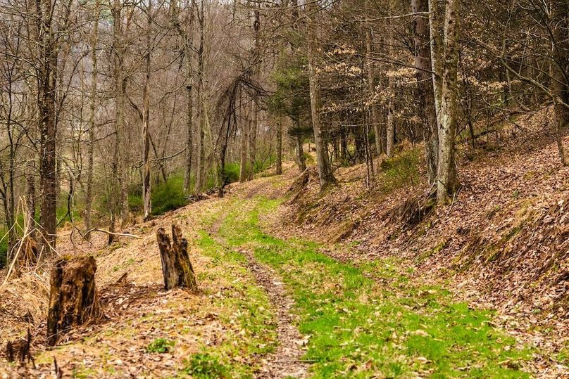 40-web-or-mls-IMG-40