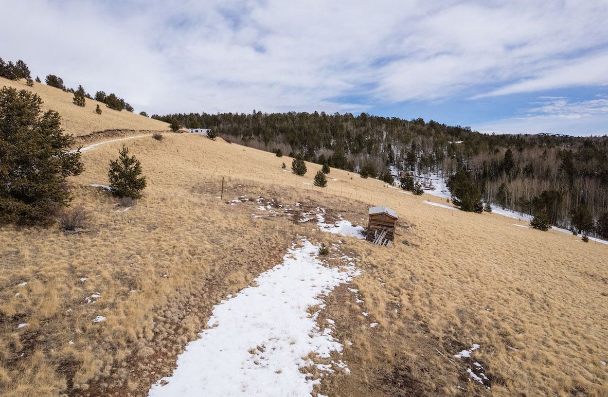 Teller Co 20.288 Bugbee - 03 Driveway