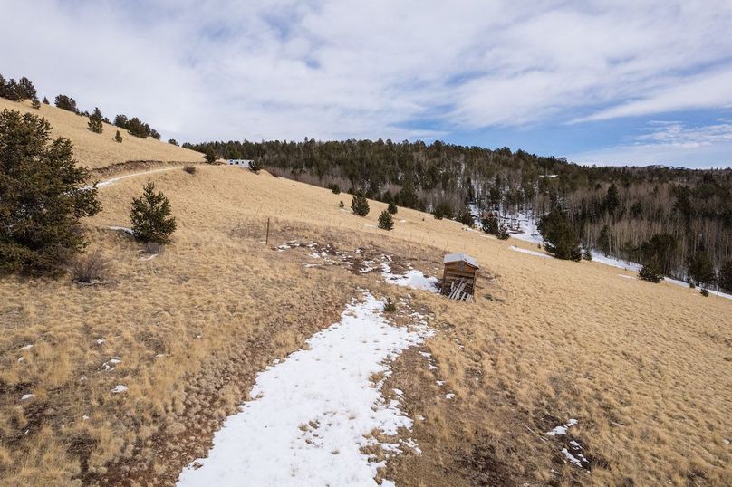 Teller Co 20.288 Bugbee - 03 Driveway