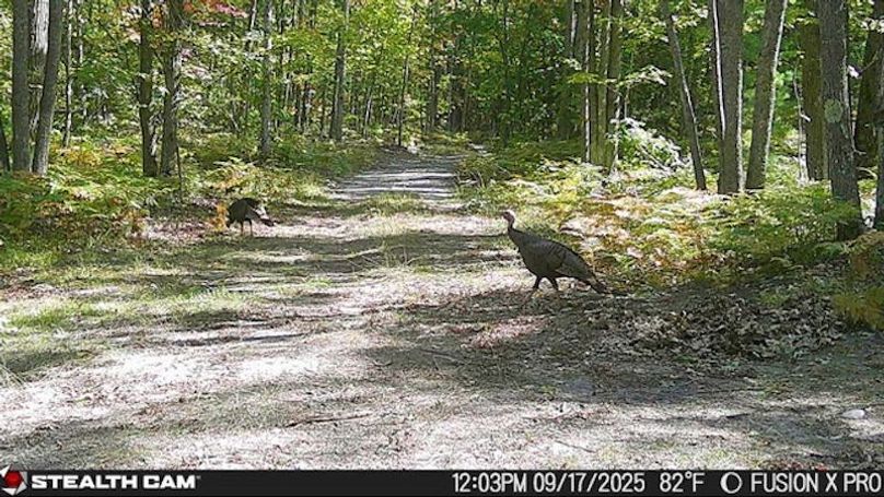 Atlanta - Turkey Friends Leaving