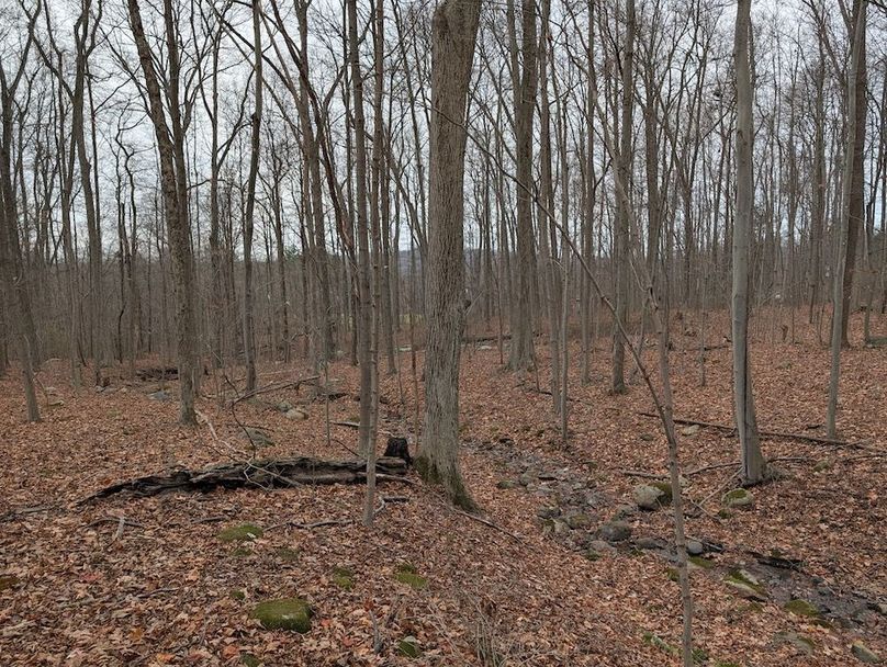 PXL_20251120_191607542