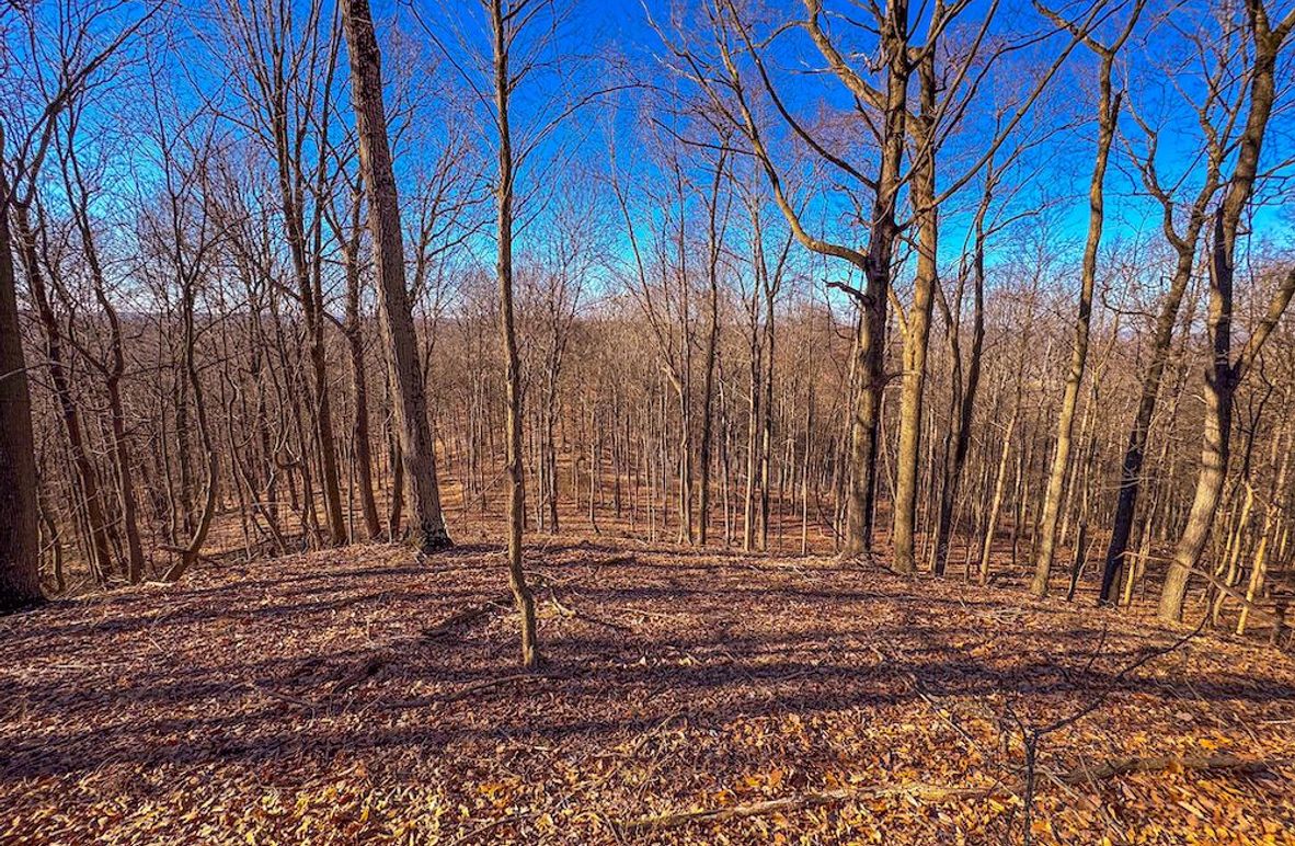 Pleasants, WV 81 AC Barron-02