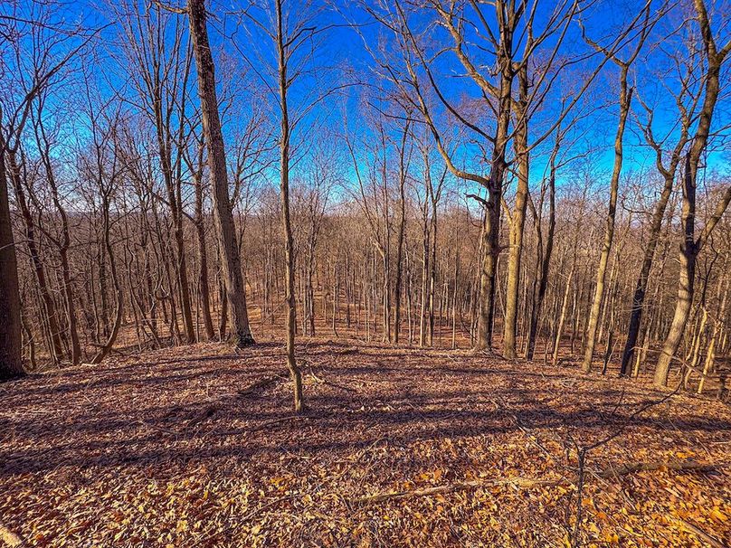 Pleasants, WV 81 AC Barron-02