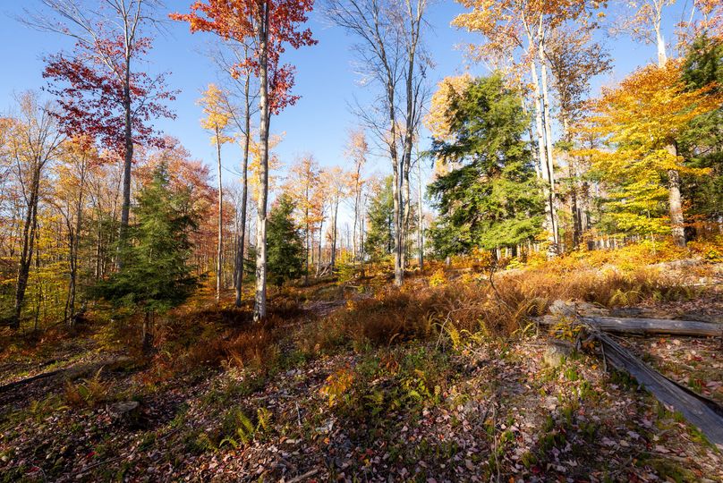 Elk PA 7000 Feature_Pro Photo-149