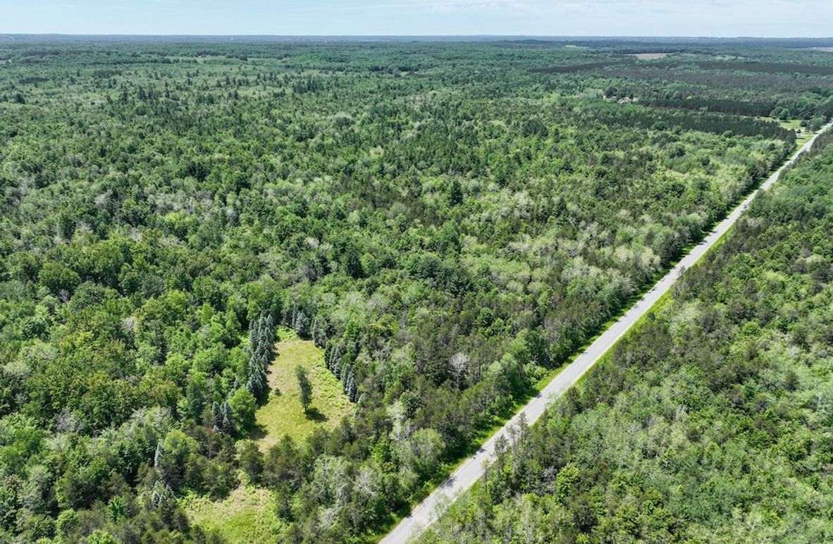 2 Looking SW from 13 Mile Rd