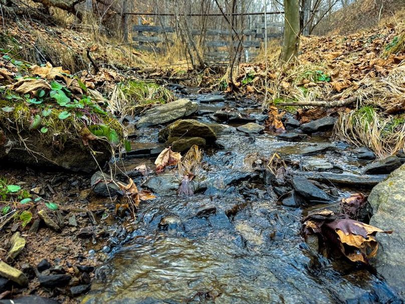 Doddridge, WV 79.08 AC Adams-75