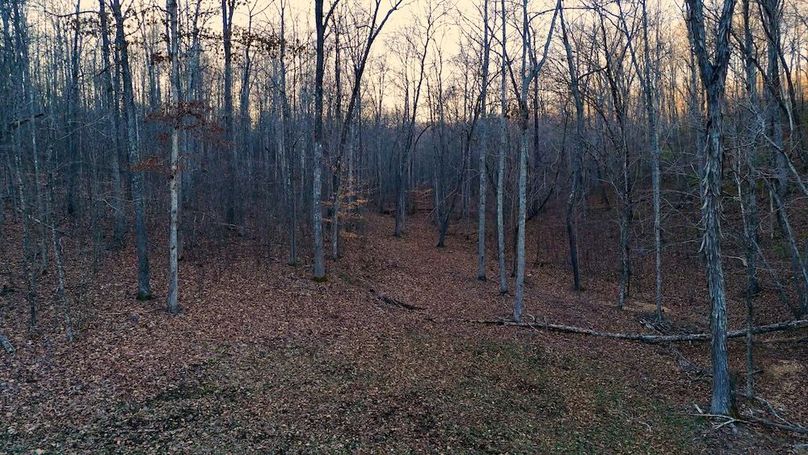 DRONE.00_20_52_07.Still048