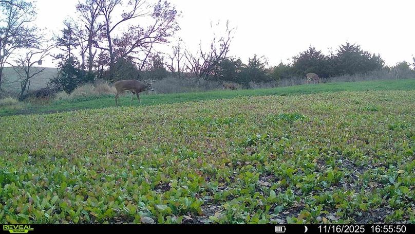 016578004304843-46-2-11162025170826-HD-SYFW01833